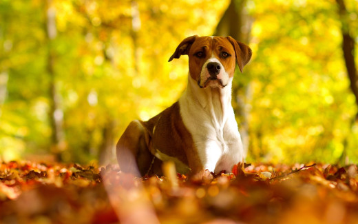 886536 (a): :2560x1600